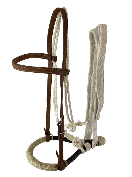 Argentina Cow Leather Browband Bosal Headstall Set-FREE SHIPPING