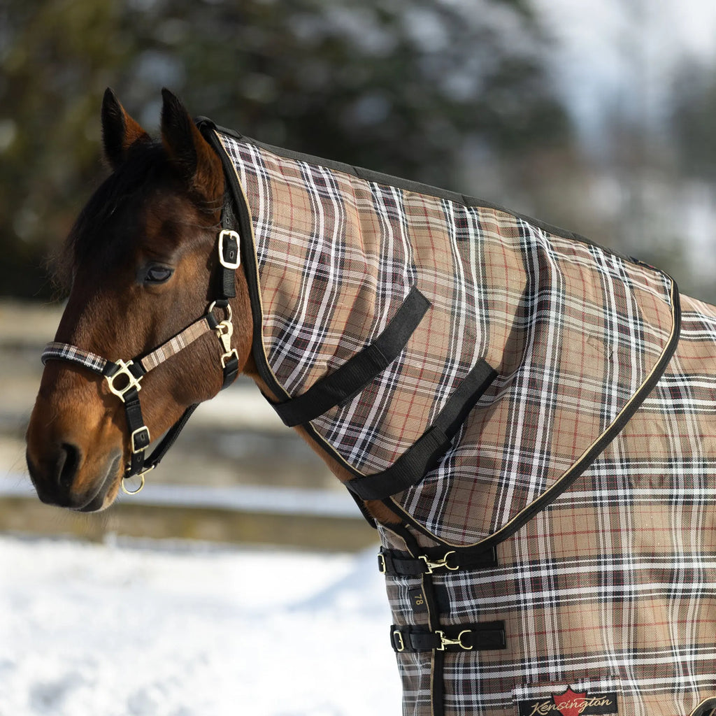 Supermesh® Horse Winter Neck Warmer - Waterproof & Breathable - Supremely Durable Textilene® - Multiple Weights- FREE SHIPPING