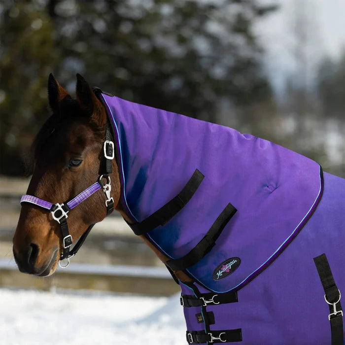 1200D Horse 180G Medium Weight Winter Neck Warmer - Waterproof & Breathable-FREE SHIPPING