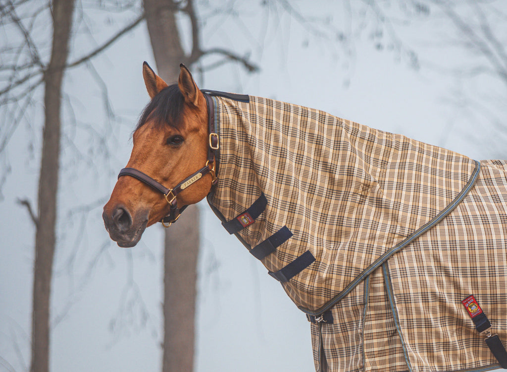 5/A Baker® Neck Cover 200 Gram for Turnout Blanket- FREE SHIPPING