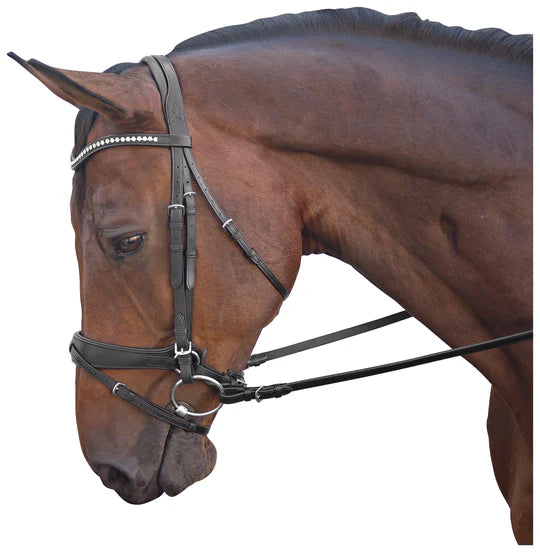 Marcel Toulouse Comfort Cavesson Dressage Bridle- FREE SHIPPING