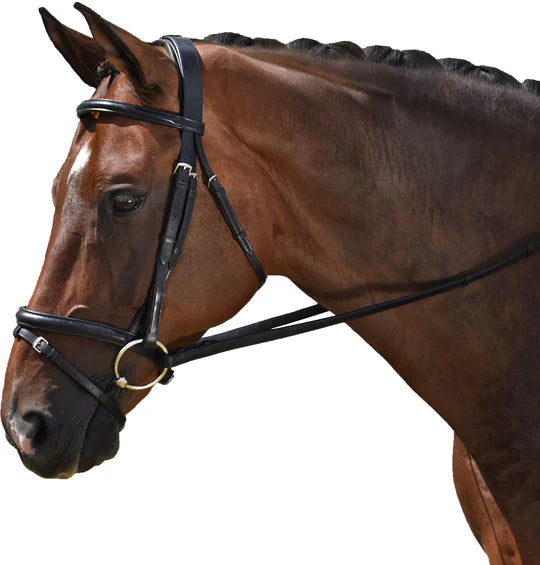 Marcel Toulouse Classic Dressage Bridle- FREE SHIPPING