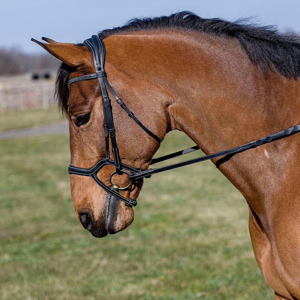 Comfort Crown DRESSAGE Snaffle Bridle BY Marcel Toulouse-FREE SHIPPING