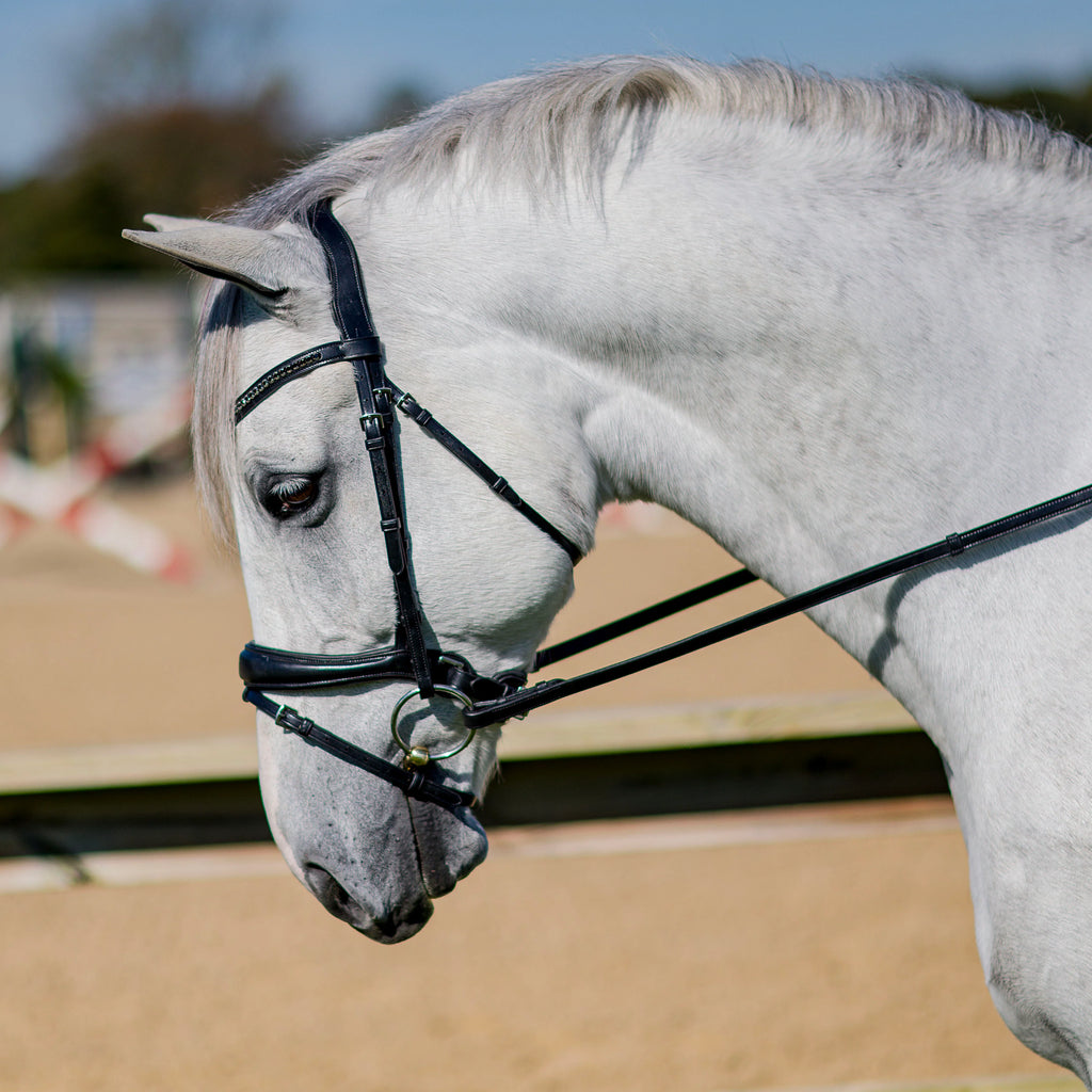 Elevation Dressage Snaffle Bridle BY Marcel Toulouse- FREE SHIPPING