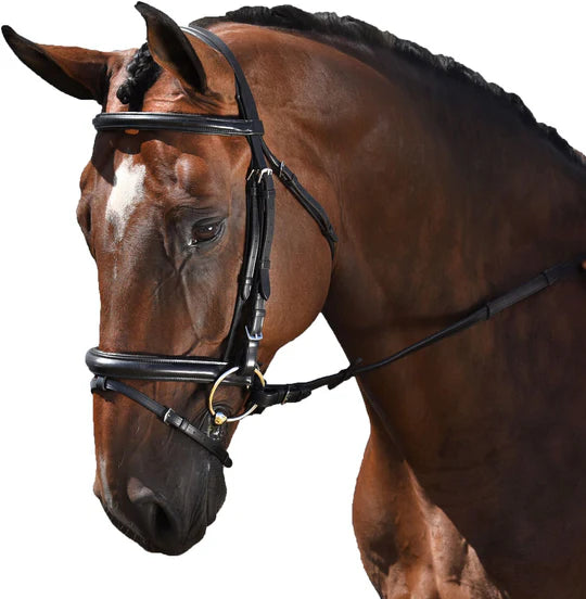 Marcel Toulouse Euro Style Dressage Bridle