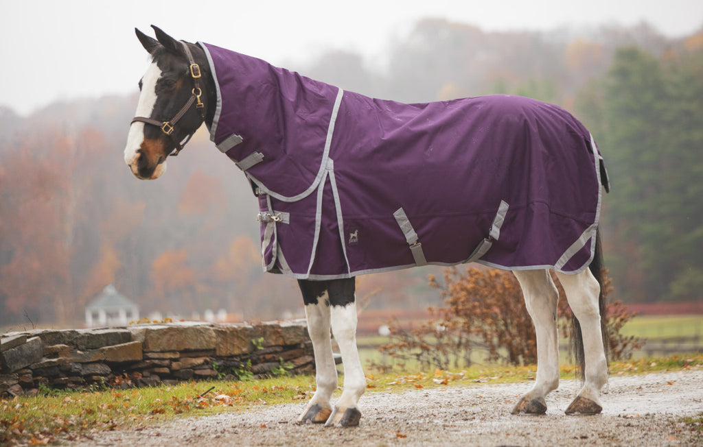 Boreas Purple Turnout Blanket 1200 Denier with 260gm Lining- REFLECTIVE STRIPES- FREE SHIPPING