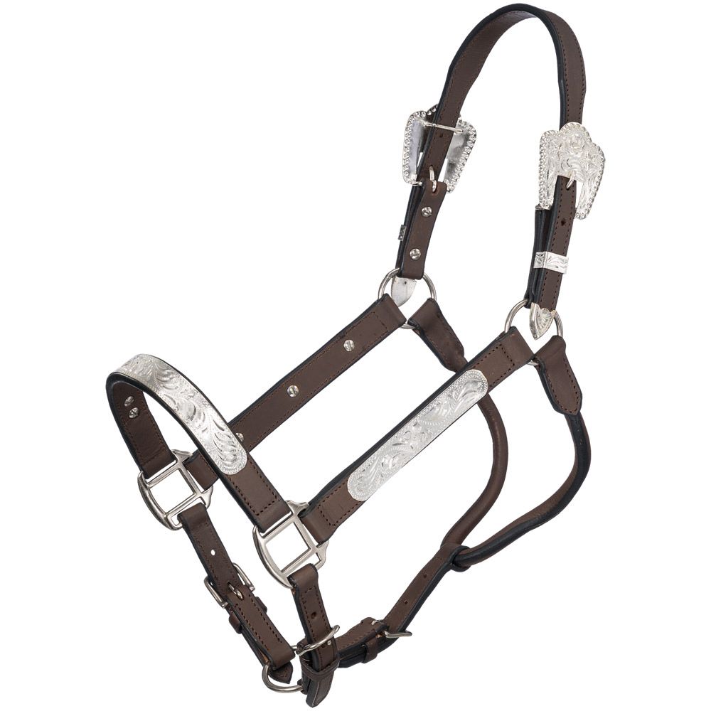 Show Halter- BERRY EDGE BUCKLES- FREE SHIPPING