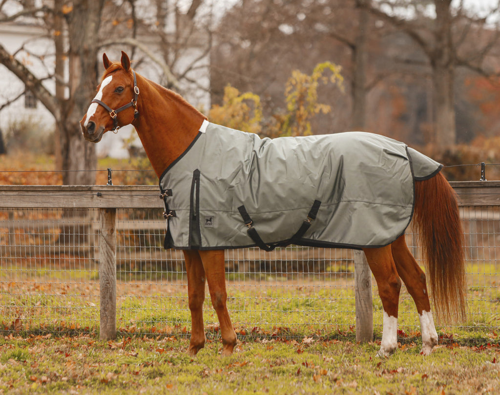 Zeus Turnout Blanket 1680 Denier- FREE SHIPPING