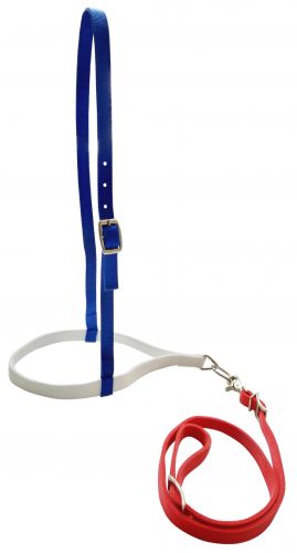 Showman ® Red, White, and Blue Nylon Noseband And Tiedown-FREE SHIPPING