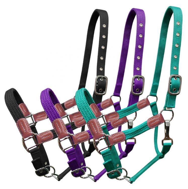 Showman ® Nylon Halter With Leather Accents-FREE SHIPPING