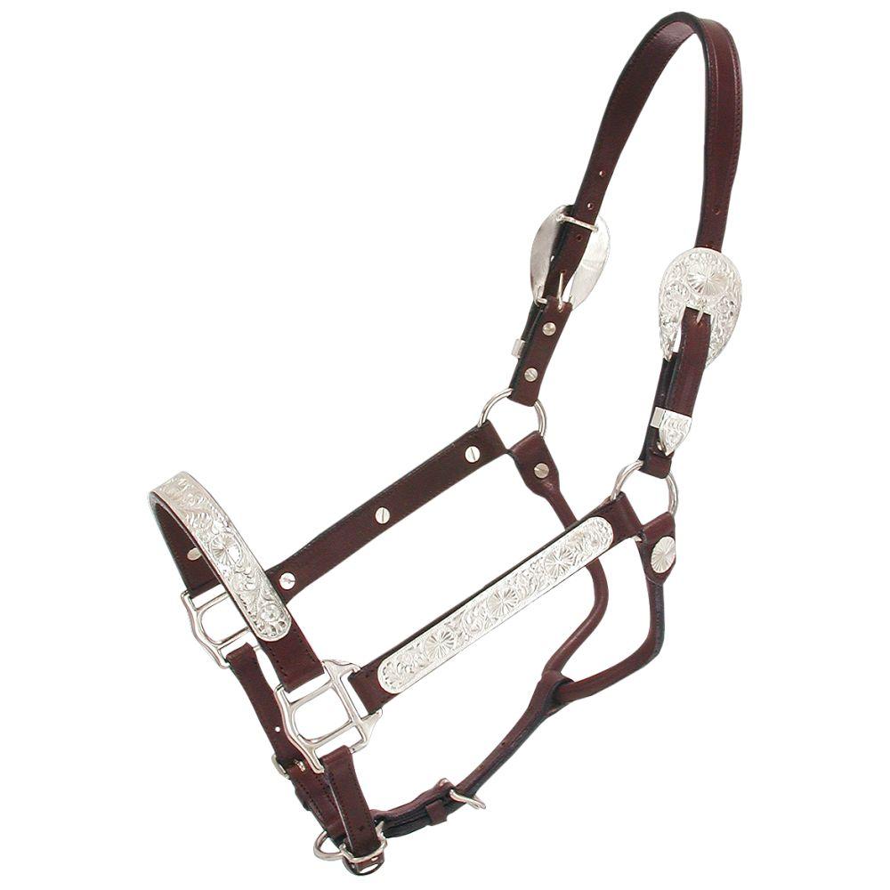 HALTER RAISED OVAL HORSE (S)
