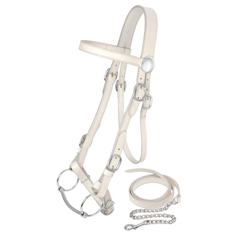 DRAFT SIZE SHOW HALTER W/LEAD