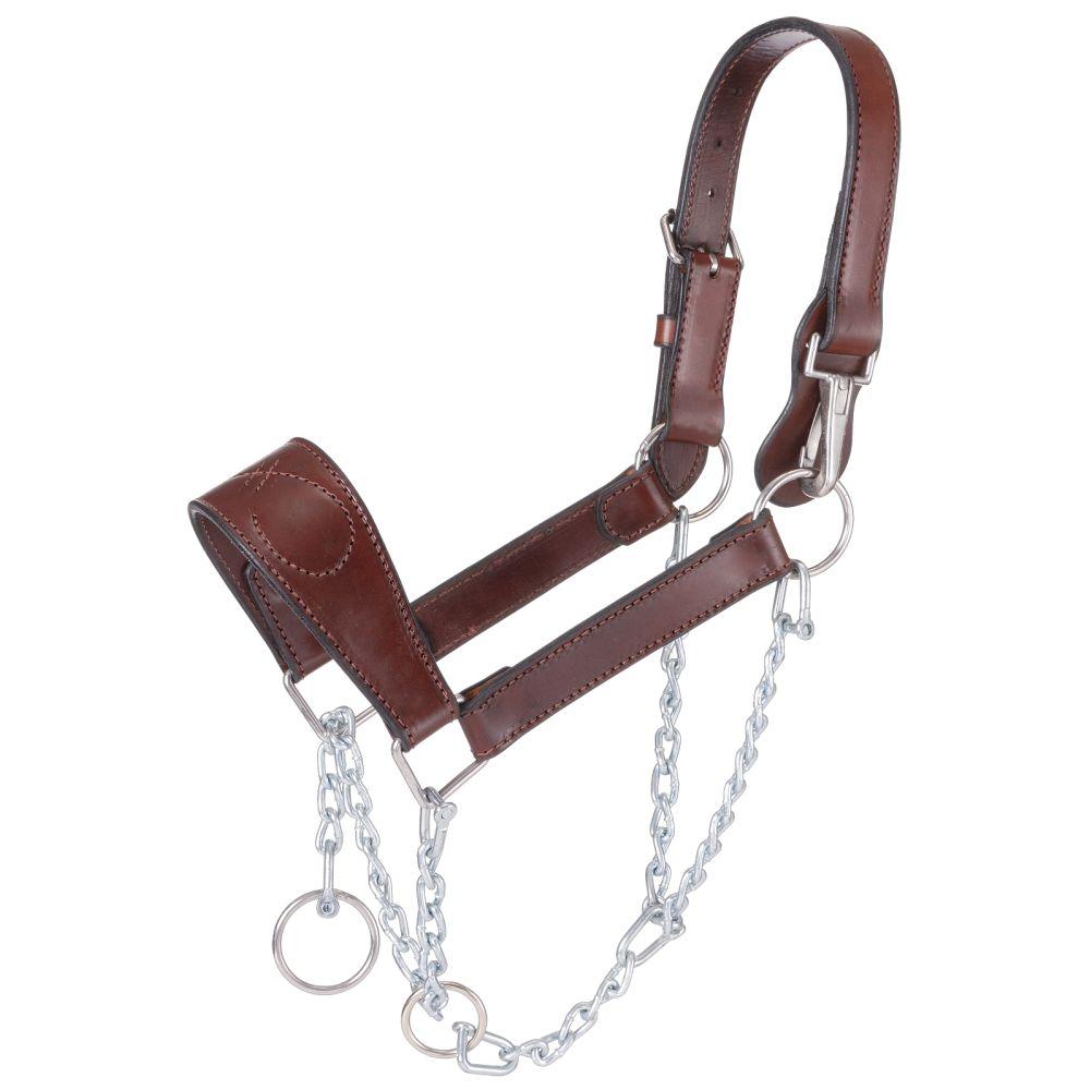 LTH MULE HALTER W/CHAIN