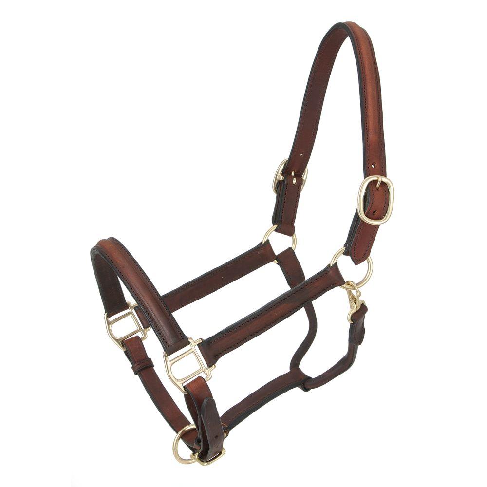 HALTER RAISED HORSE