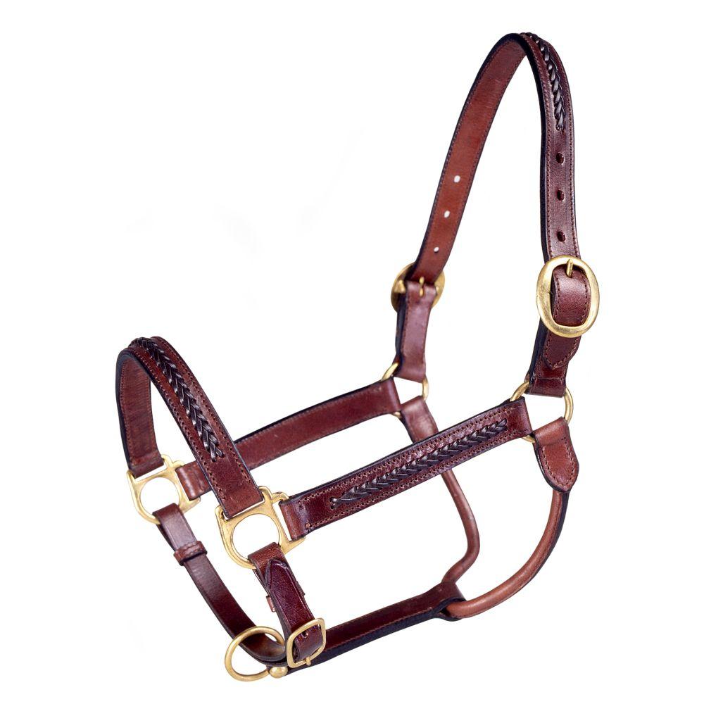 HALTER RAISE BRAID HORSE