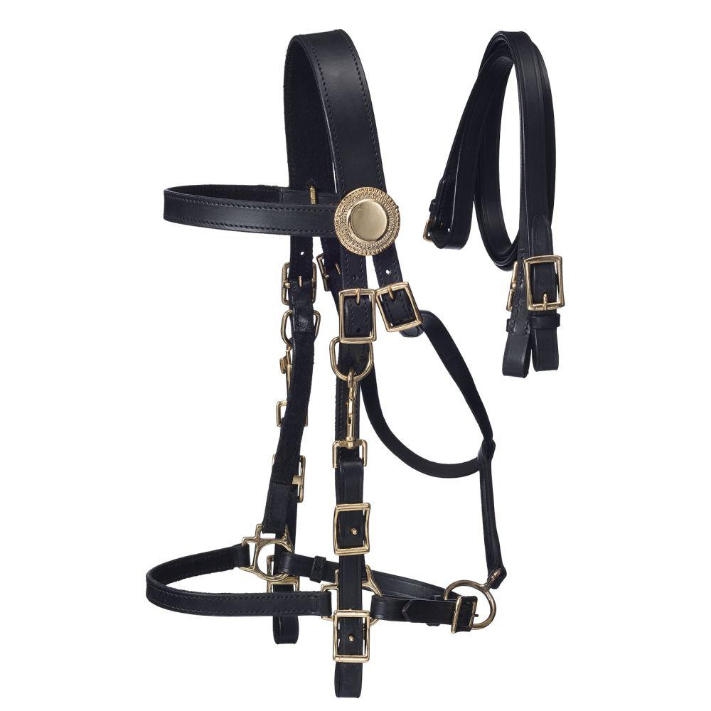 SUPREME LEATHER HALTER BRIDLE