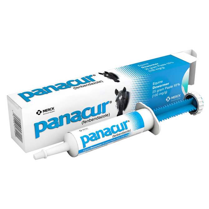 3-Pack Panacur Equine Dewormer, 25 gram Paste 10%-FREE SHIPPING