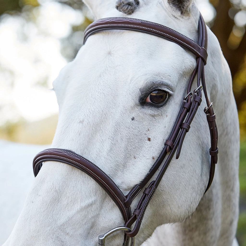Fancy Padded Italian Leather Bridle-FREE SHIPPING